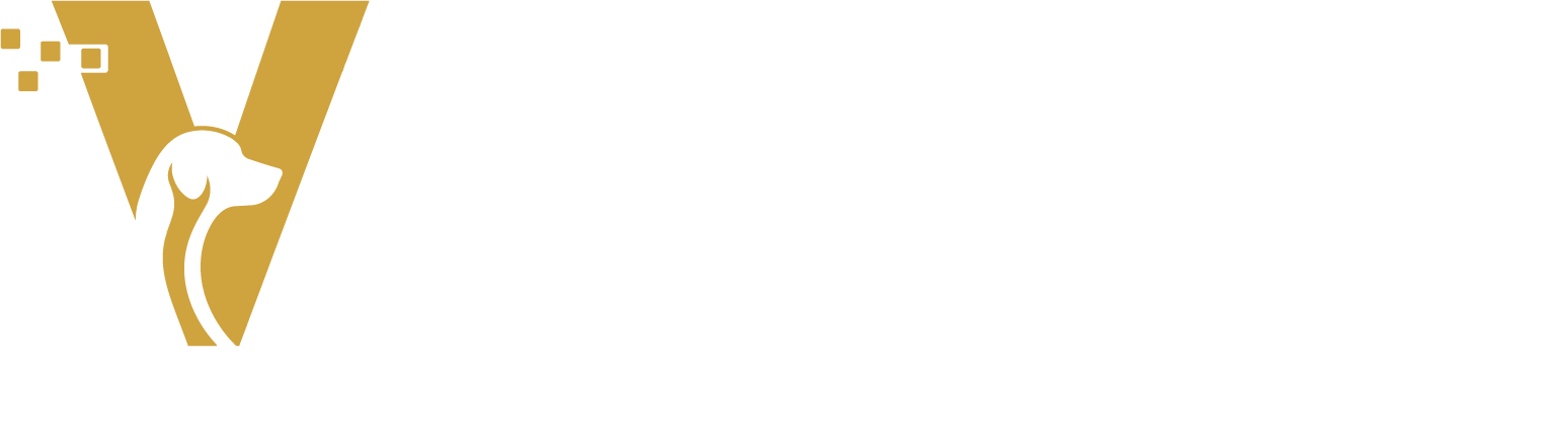 Marketing Veterinário